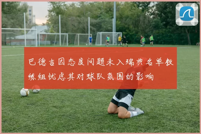巴德吉因态度问题未入瑞典名单教练组忧虑其对球队氛围的影响